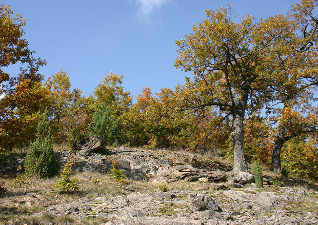 okraj skalnatej ceriny