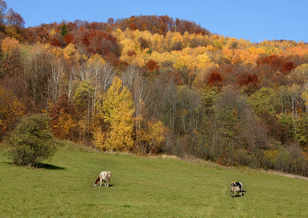 jesenná idylka