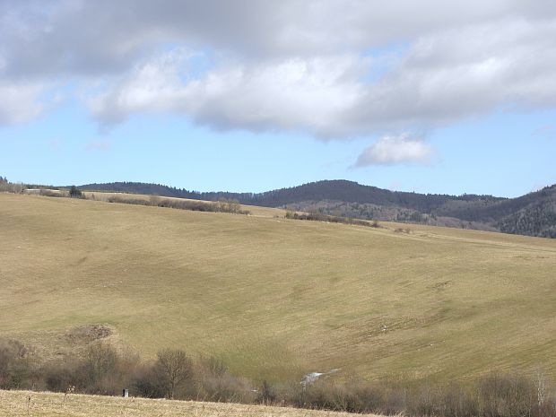 Kurčinska magura