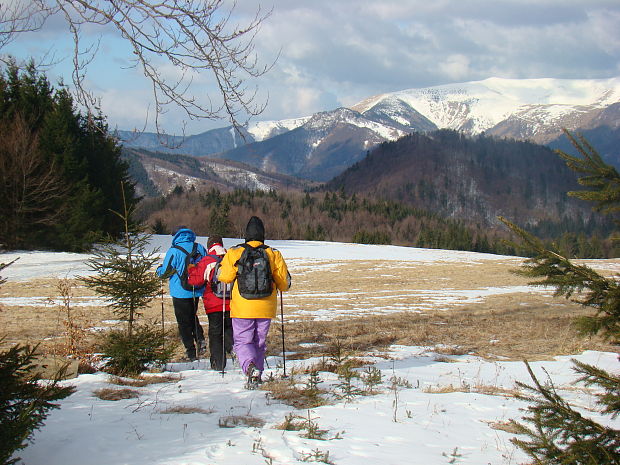 Majerova skala, Krížna