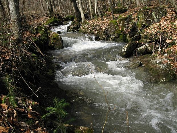 Hrdzavá dolina-potok