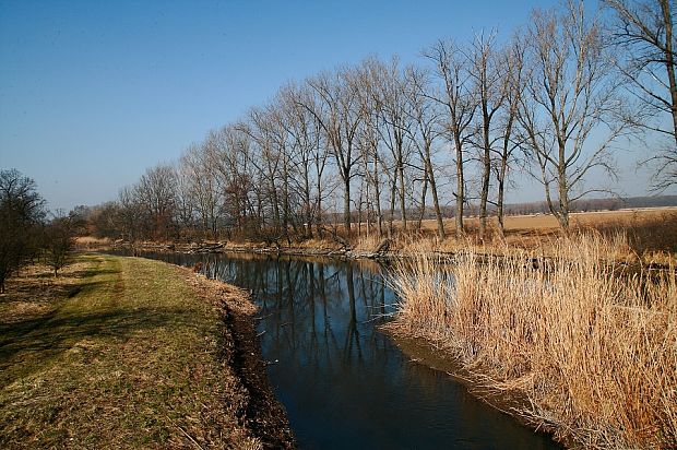 Kátovské ramená