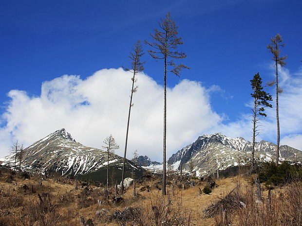 Končistá+Gerlach