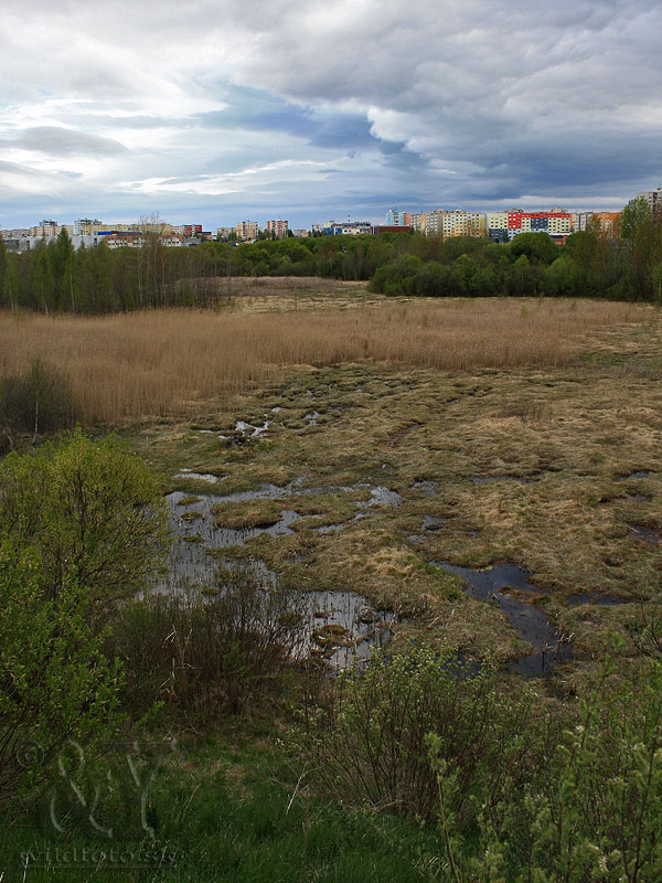 Poprad Močiar