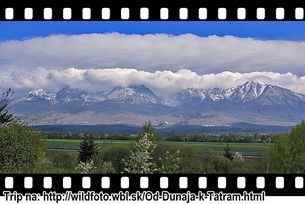 Vysoké Tatry