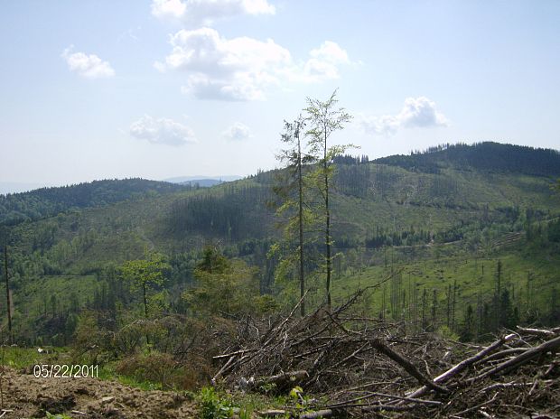 Levočské vrchy 3