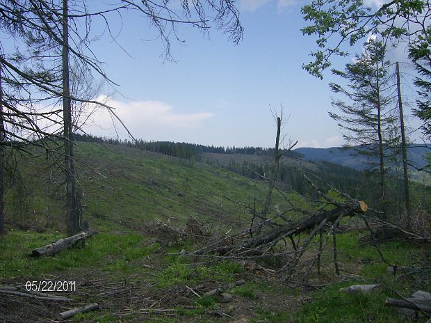 Levočské vrchy 6