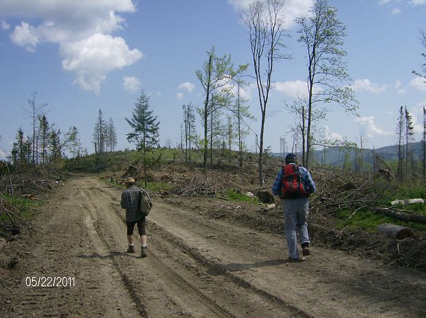 Levočské vrchy 9