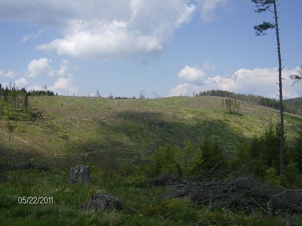 Levočské vrchy 10