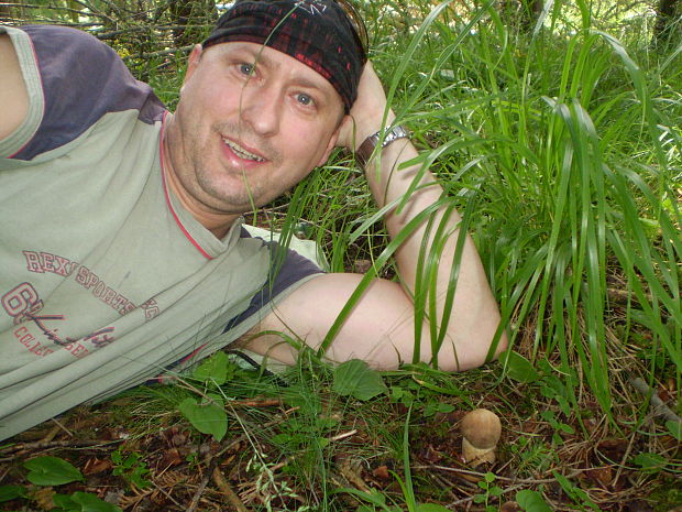 hríb dubový Boletus reticulatus Schaeff.