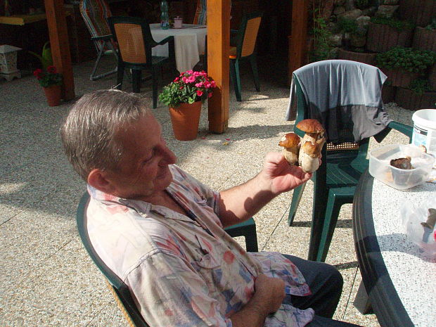 hríb smrekový Boletus edulis Bull. ex Fr.