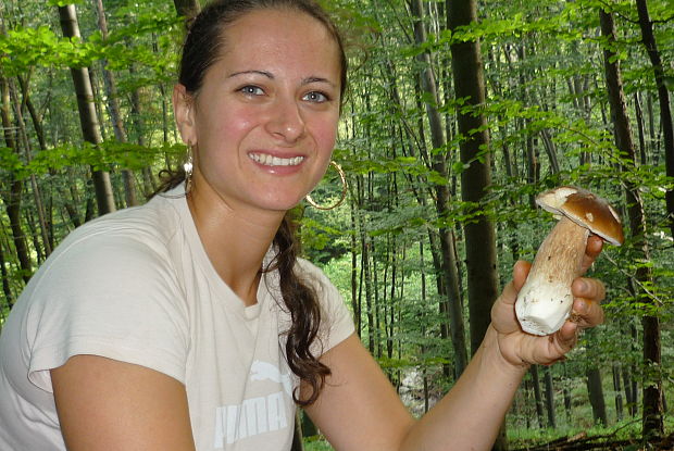 hríb dubový Boletus reticulatus Schaeff.