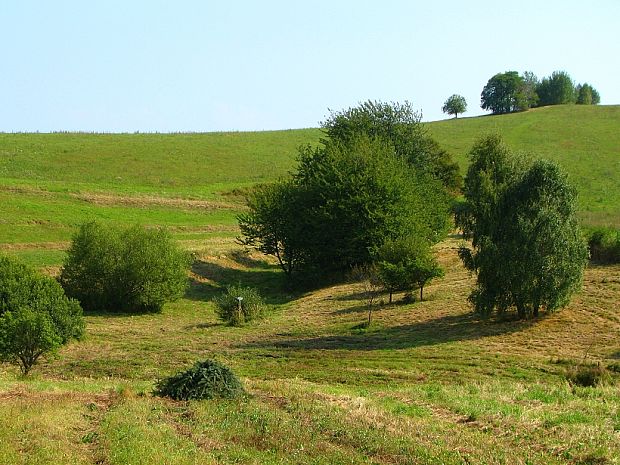 prameň Žitava