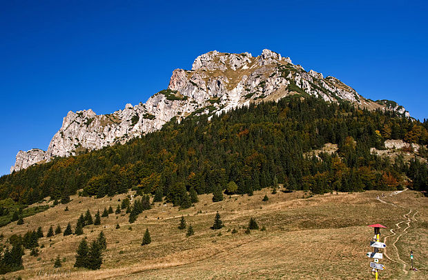 Veľký Rozsutec