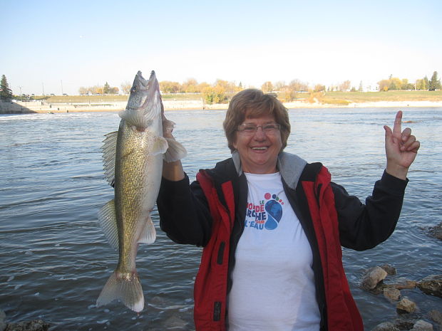 walleye  - zubac  Sander vitreus