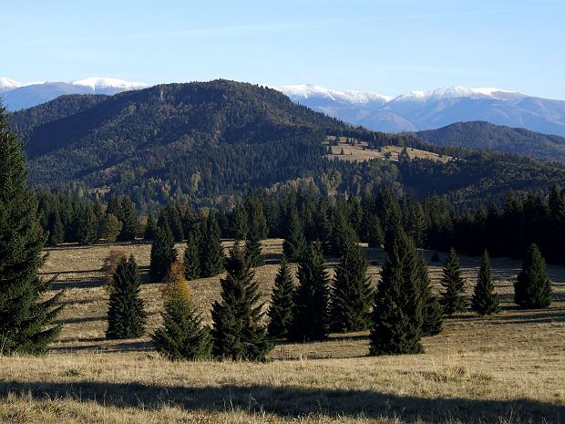 Pohľad z Bukoviny