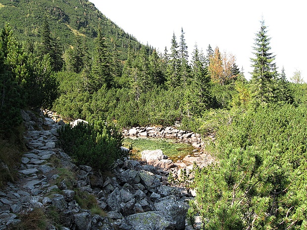 Zelené pleso