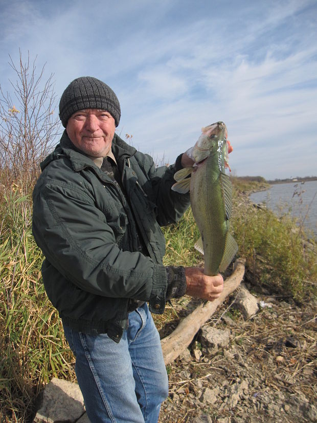 walleye podobne nasmu zubacovi