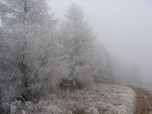 Reváň(1205 m.n.m)-cestou na KĽAK