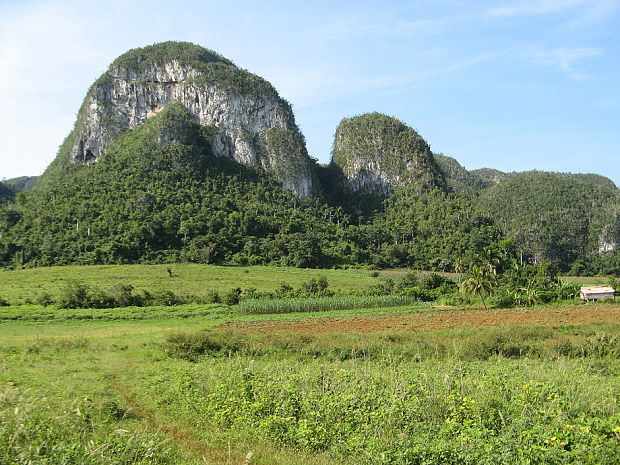 Viñales Natura