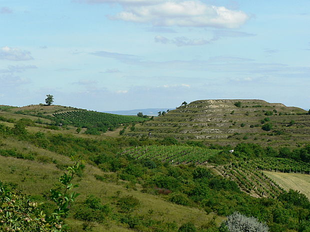 Dunajovické kopce - národní přírodní památka