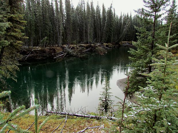 Bobria rieka-Beaver river