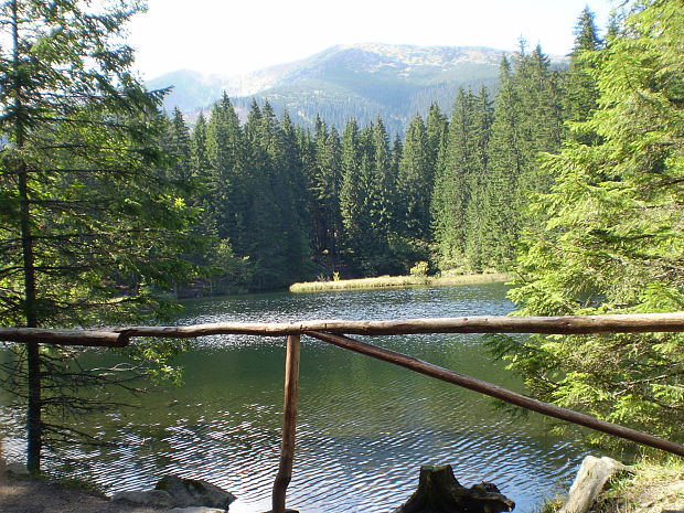 Vrbické pleso