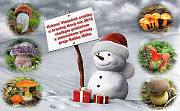   Krásne Vianočné sviatky a  šťastný Nový rok 2012