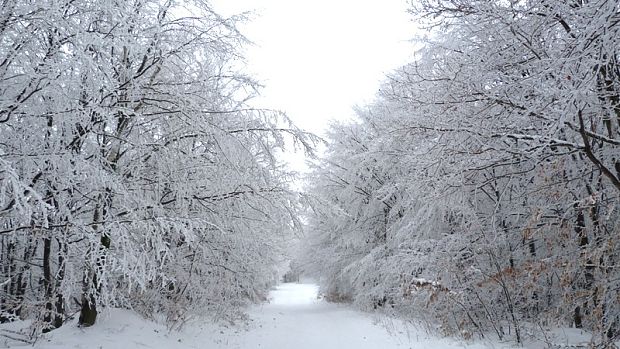 krásne Novoročné ráno 1.1.2012