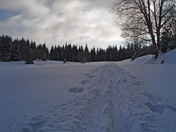 obnovenie stopy po snežení