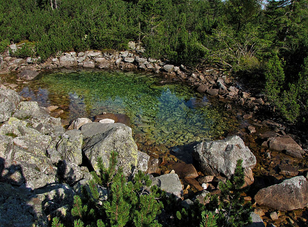 západné Tatry-Roháče