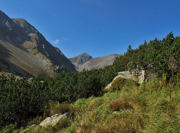 Západné Tatry-Roháče