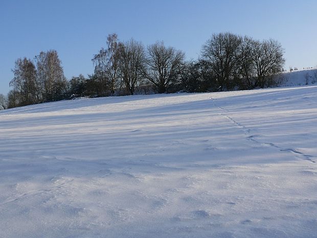 Krajina proti Poříčskámu hřbetu