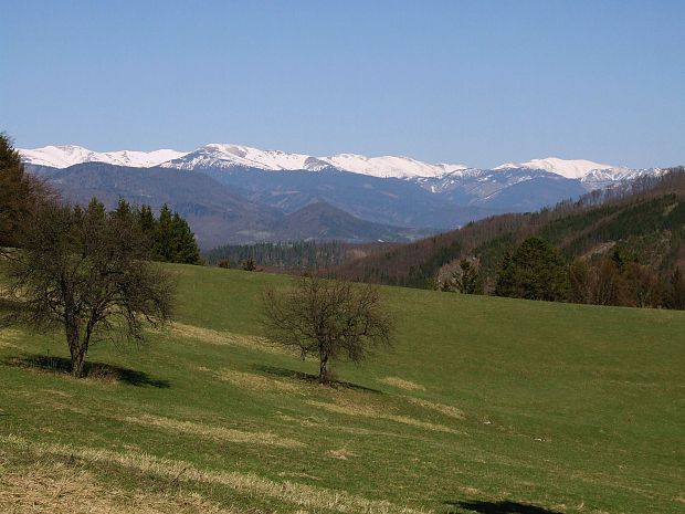 Pohľady z lúk