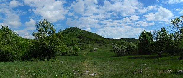 Žibrica....