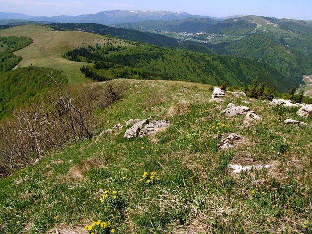 Pohľady z Kozieho chrbátu