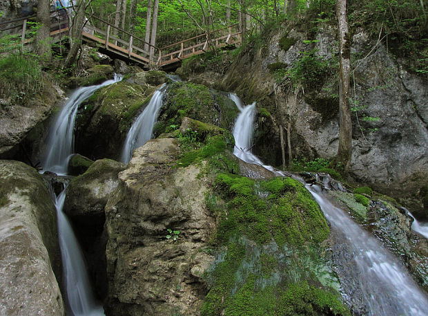 Steinwandklamm a Myrafälle