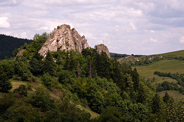 Lednické hradné bralo