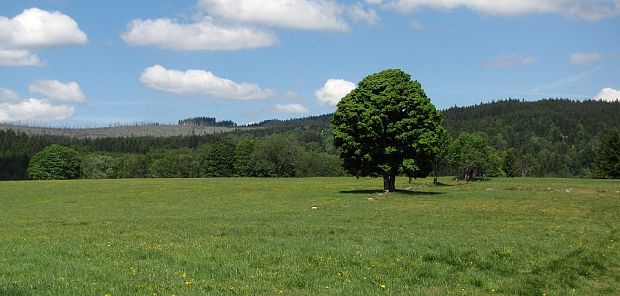 NP Šumava