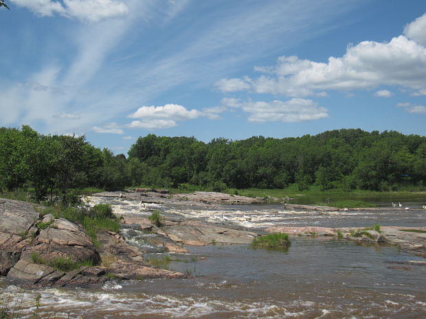 pelikany na Whitemouth River