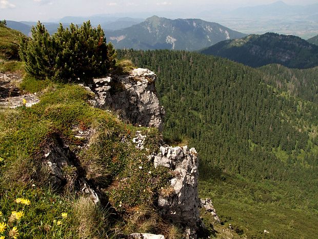 Pohľady z Krakovej hole