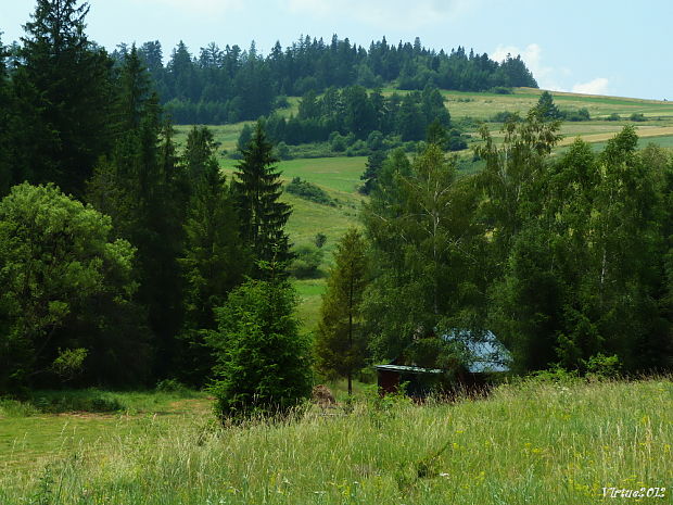 moje pohľady z prírody