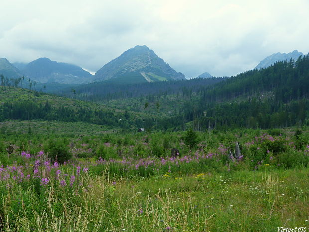 Moje pohľady z prírody - cesta na Štrbské pleso