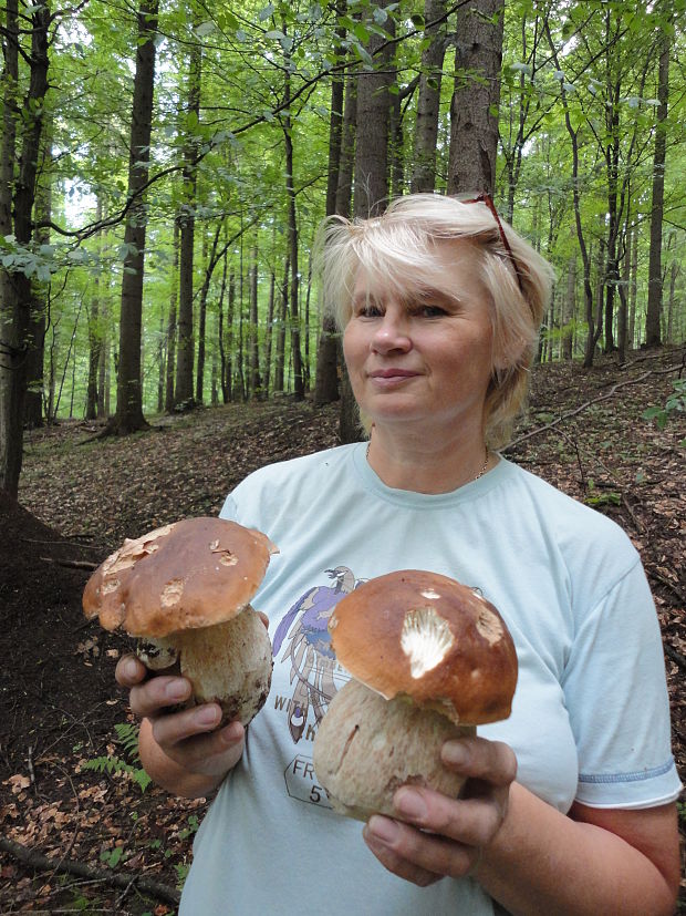 hríb smrekový Boletus edulis Bull.