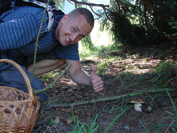 hríb smrekový Boletus edulis Bull.