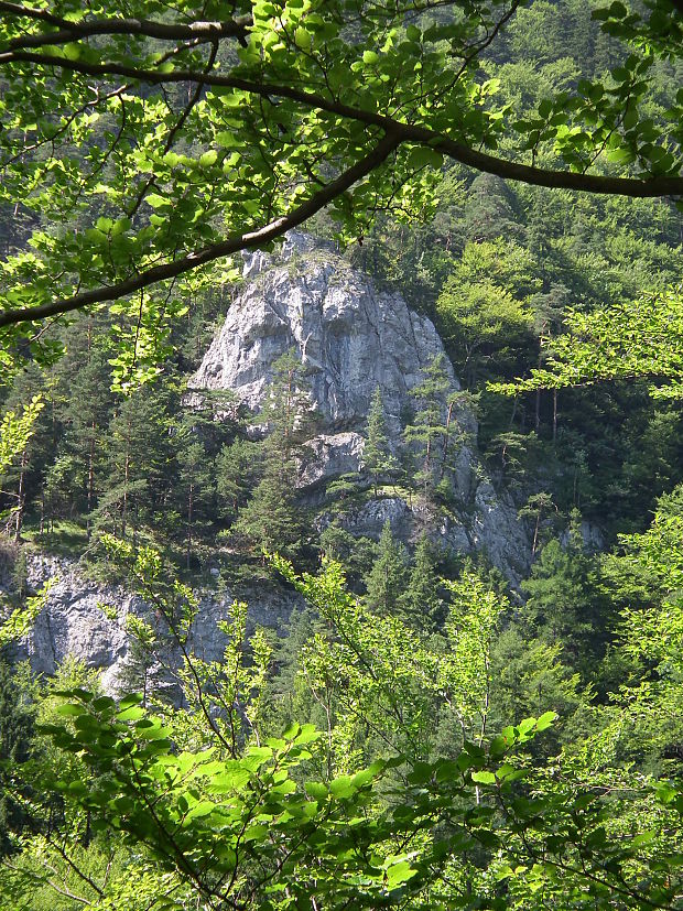 Kvačianska dolina - Jánošíkova hlava