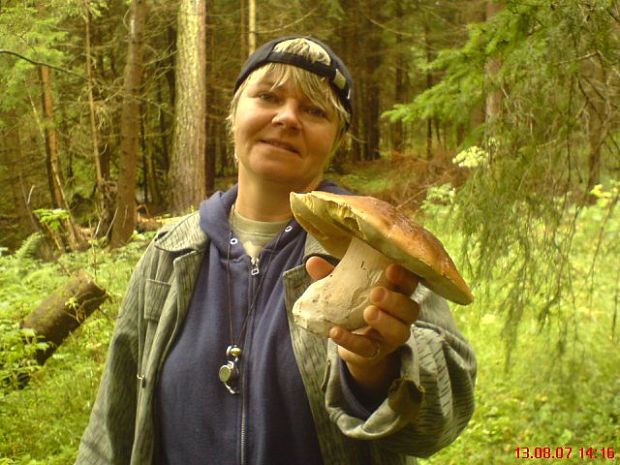 hríb smrekový Boletus edulis Bull.