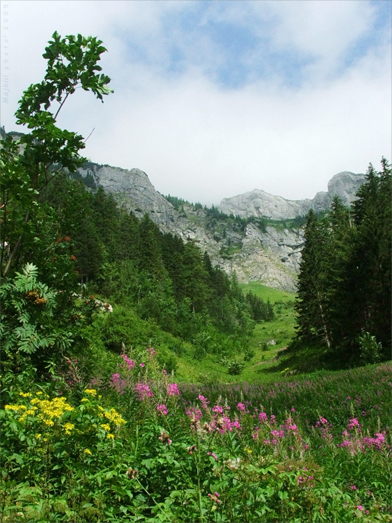 Dolina Siedmych prameňov (Belianske Tatry)