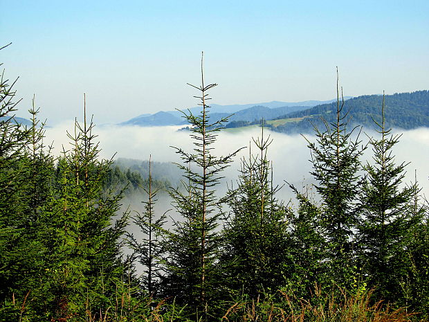 opar nad riekou Poprad