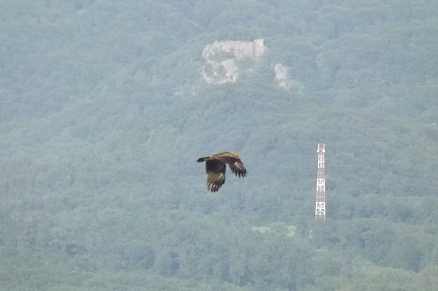 v pozadí Zbojnícky hrad